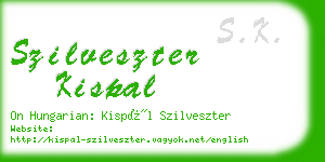 szilveszter kispal business card